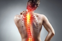 Chiropractic Support for Scoliosis Pain